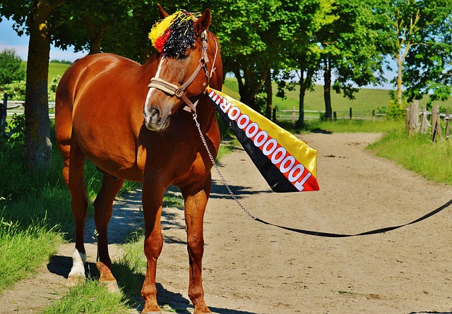 刘少昂在年 刘少昂在年