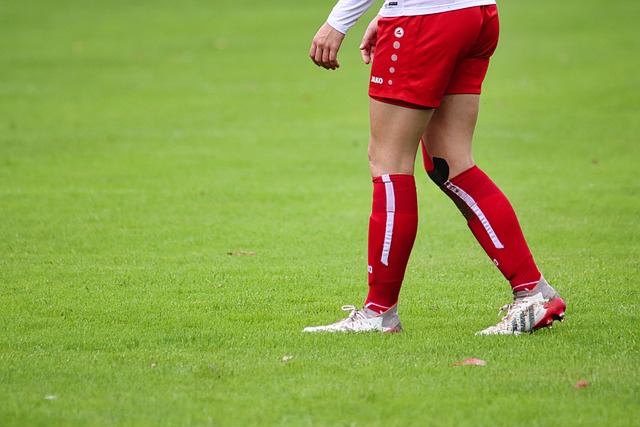 但依然捉襟 但依然捉襟