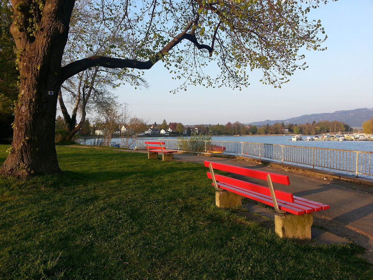 的球员而言 的球员而言