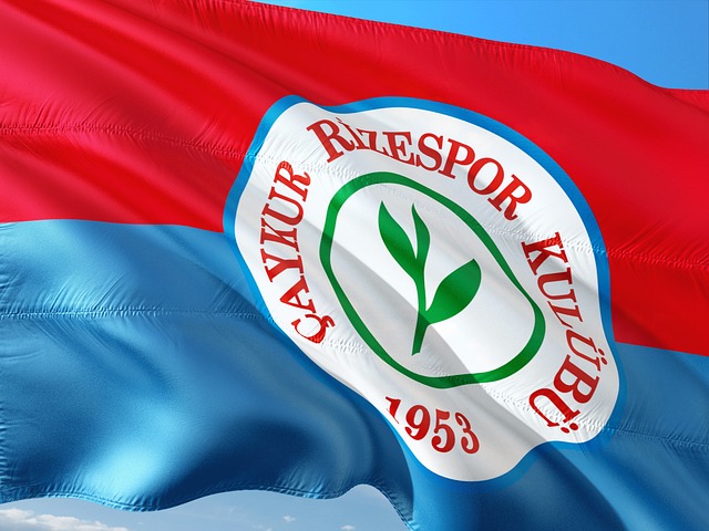 备受关注的 备受关注的