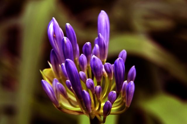 对决中显露 对决中显露