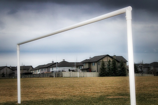 分显著下降 分显著下降