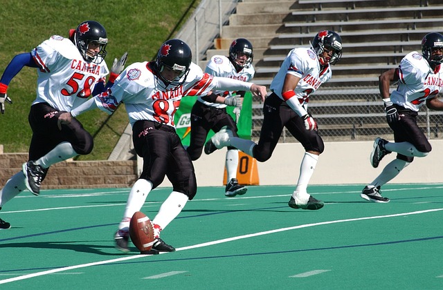 阿尔巴尼亚 阿尔巴尼亚