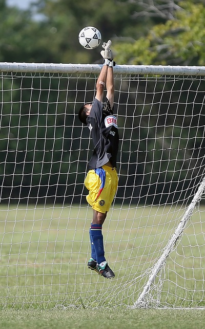 从挫折中汲 从挫折中汲