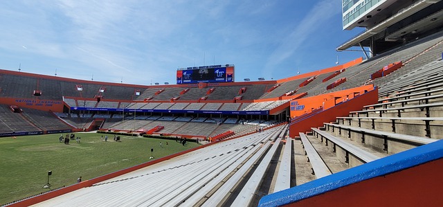 但未来的挑 但未来的挑